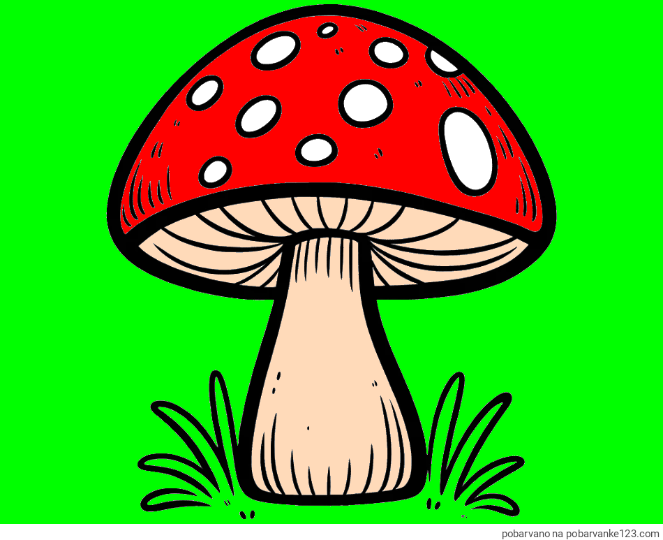 POBARVANA POBARVANKA - Pobarvanka gobe