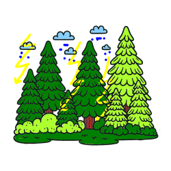 Pobarvana pobarvanka - Pobarvanka gozda s podrastjem