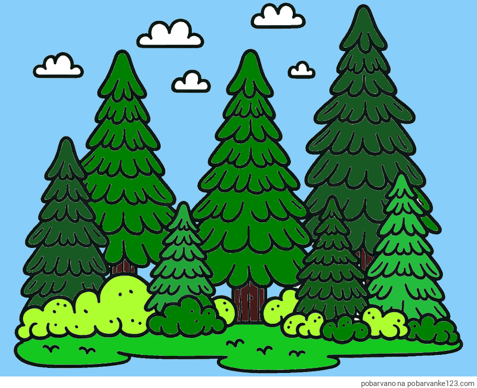 POBARVANA POBARVANKA - Pobarvanka gozda s podrastjem