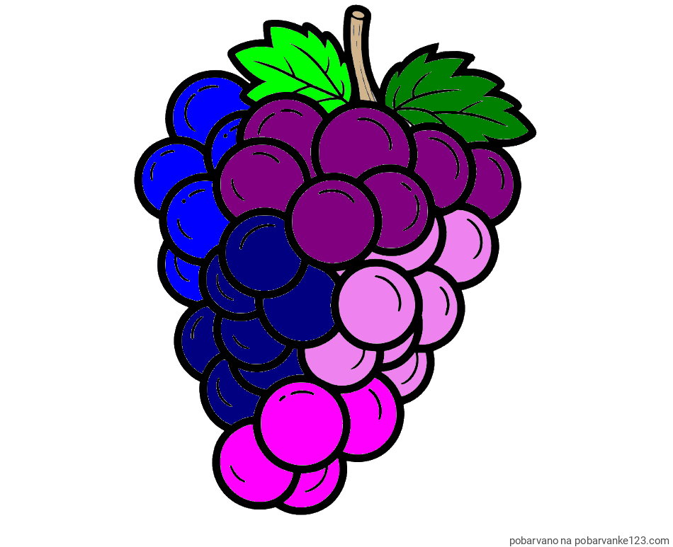 POBARVANA POBARVANKA - Pobarvanka grozdja z velikimi rozinami