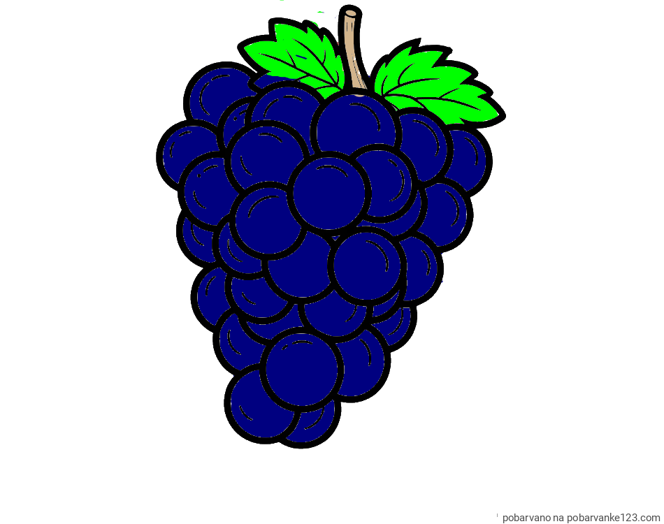 POBARVANA POBARVANKA - Pobarvanka grozdja z velikimi rozinami