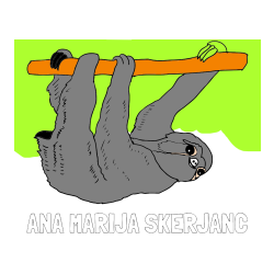 Pobarvana pobarvanka - Pobarvanka imena ANA MARIJA ŠKERJANC in pobarvanka lenivca