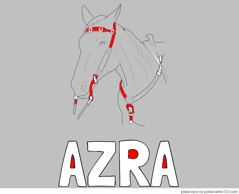 POBARVANA POBARVANKA - Pobarvanka imena AZRA in pobarvanka konjske glave