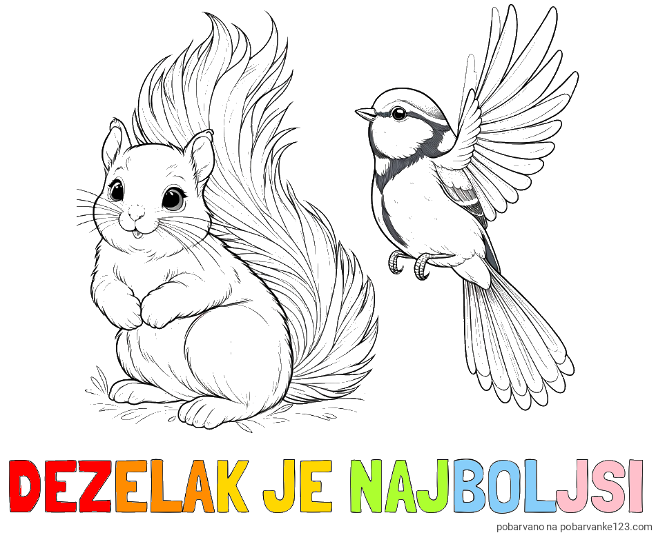 POBARVANA POBARVANKA - Pobarvanka imena DEŽELAK JE NAJBOLJŠI in pobarvanka veverice in ptičke