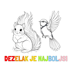 Pobarvana pobarvanka - Pobarvanka imena DEŽELAK JE NAJBOLJŠI in pobarvanka veverice in ptičke