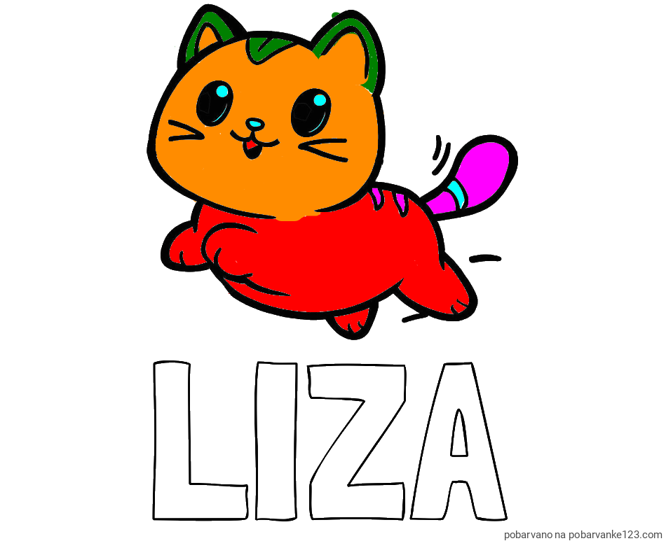 POBARVANA POBARVANKA - Pobarvanka imena LIZA in pobarvanka prikupne mačke med tekom