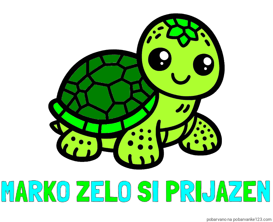 POBARVANA POBARVANKA - Pobarvanka imena MARKO ZELO SI PRIJAZEN in otroška pobarvanka želve