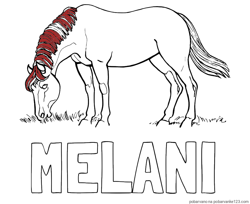 POBARVANA POBARVANKA - Pobarvanka imena MELANI in pobarvanka konja med pašo