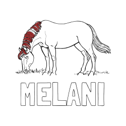 Pobarvana pobarvanka - Pobarvanka imena MELANI in pobarvanka konja med pašo