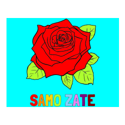 Pobarvana pobarvanka - Pobarvanka imena SAMO ZATE in pobarvanka vrtnice