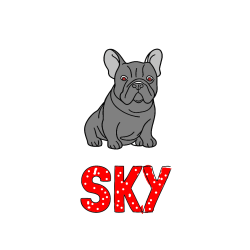 POBARVANA POBARVANKA - Pobarvanka imena SKY in pobarvanka francoskega buldoga