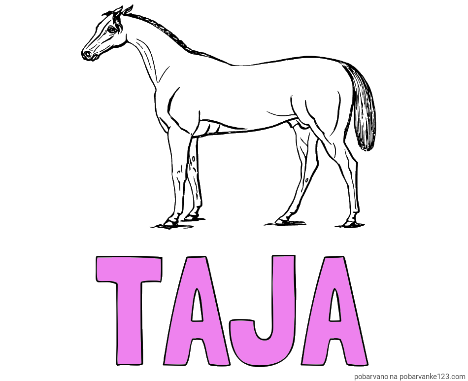 POBARVANA POBARVANKA - Pobarvanka imena TAJA in pobarvanka konja