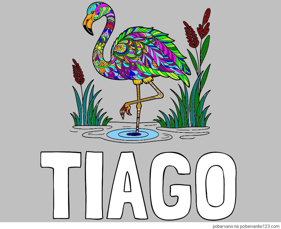 POBARVANA POBARVANKA - Pobarvanka imena TIAGO in pobarvanka flaminga z abstraktnimi vzorci