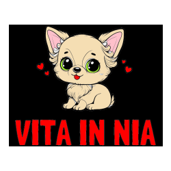 Pobarvana pobarvanka - Pobarvanka imena VITA IN NIA in pobarvanka čivave