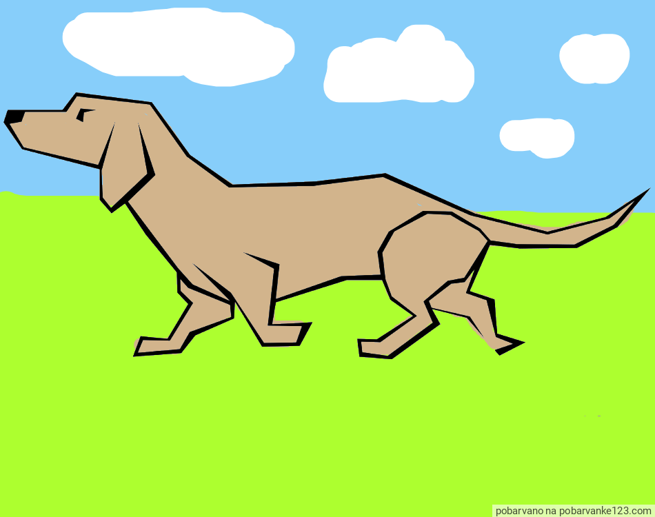 POBARVANA POBARVANKA - Pobarvanka jazbečarja