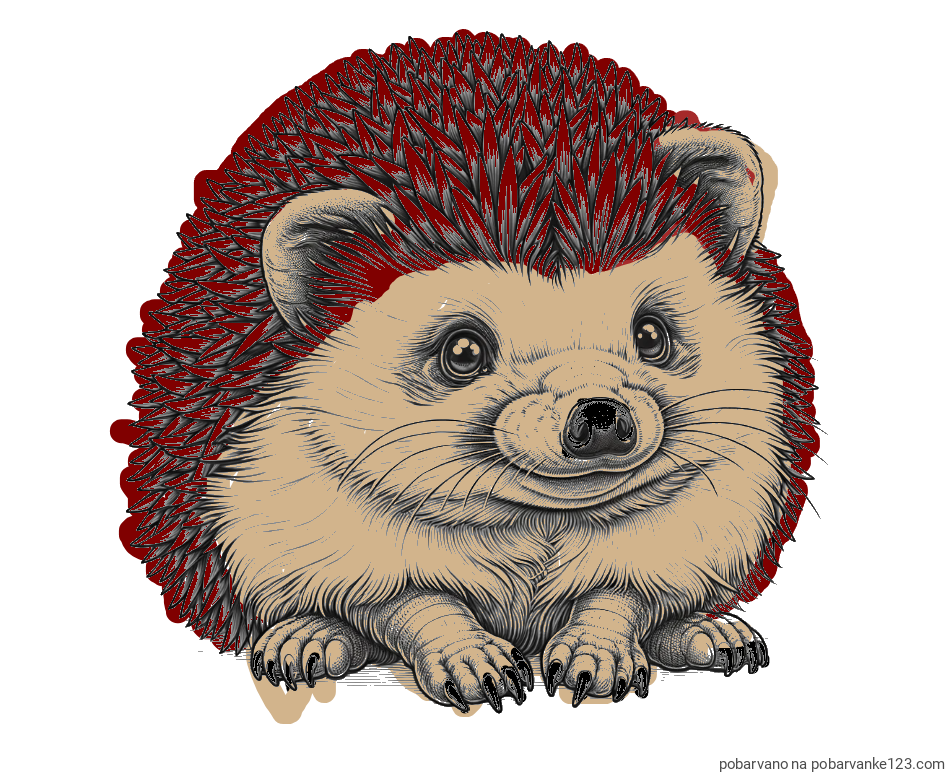 POBARVANA POBARVANKA - Pobarvanka ježa