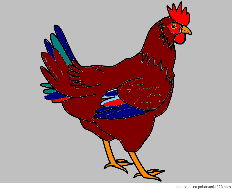 POBARVANA POBARVANKA - Pobarvanka kokoške