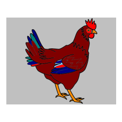 Pobarvana pobarvanka - Pobarvanka kokoške