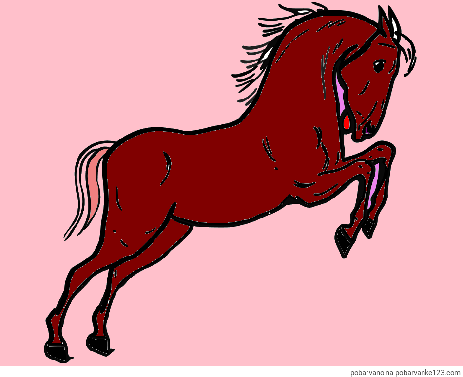 POBARVANA POBARVANKA - Pobarvanka konja v skoku