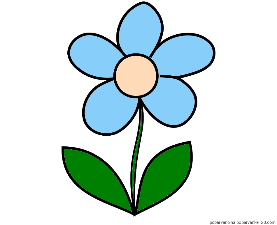 POBARVANA POBARVANKA - Pobarvanka lepe cvetlice