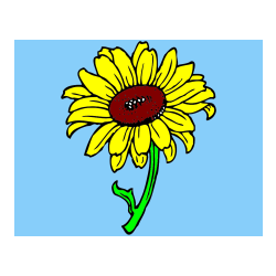 Pobarvana pobarvanka - Pobarvanka lepe sončnice