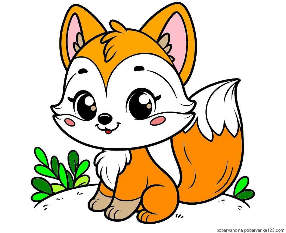 POBARVANA POBARVANKA - Pobarvanka lisičke