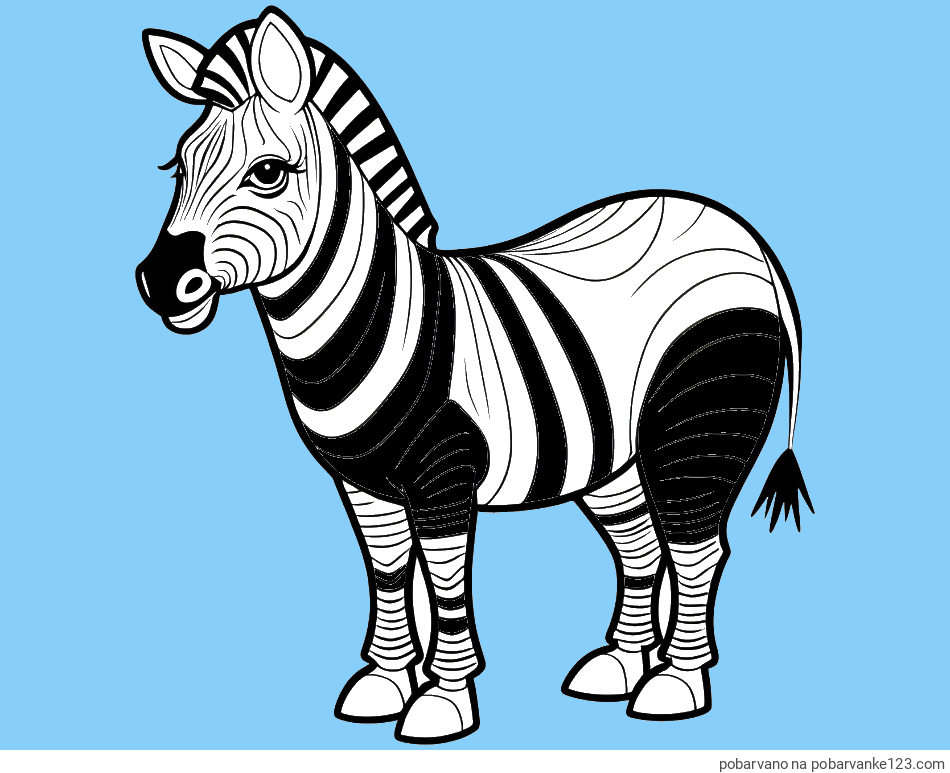 POBARVANA POBARVANKA - Pobarvanka ljubke zebre