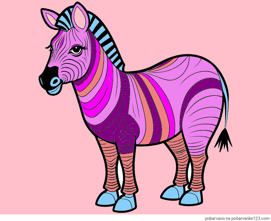 POBARVANA POBARVANKA - Pobarvanka ljubke zebre