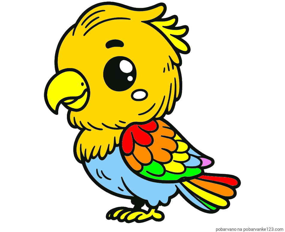 POBARVANA POBARVANKA - Pobarvanka ljubkega papagaja