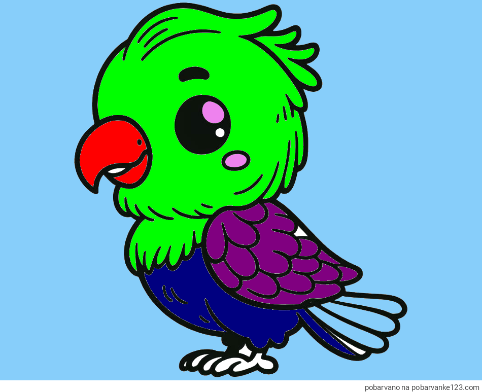 POBARVANA POBARVANKA - Pobarvanka ljubkega papagaja