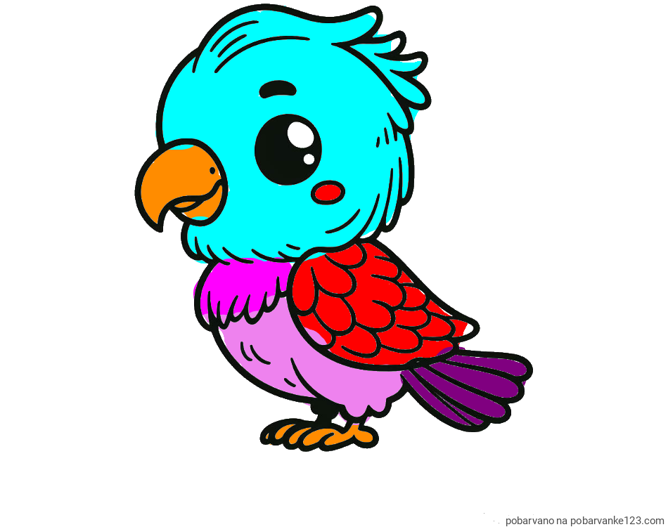 POBARVANA POBARVANKA - Pobarvanka ljubkega papagaja