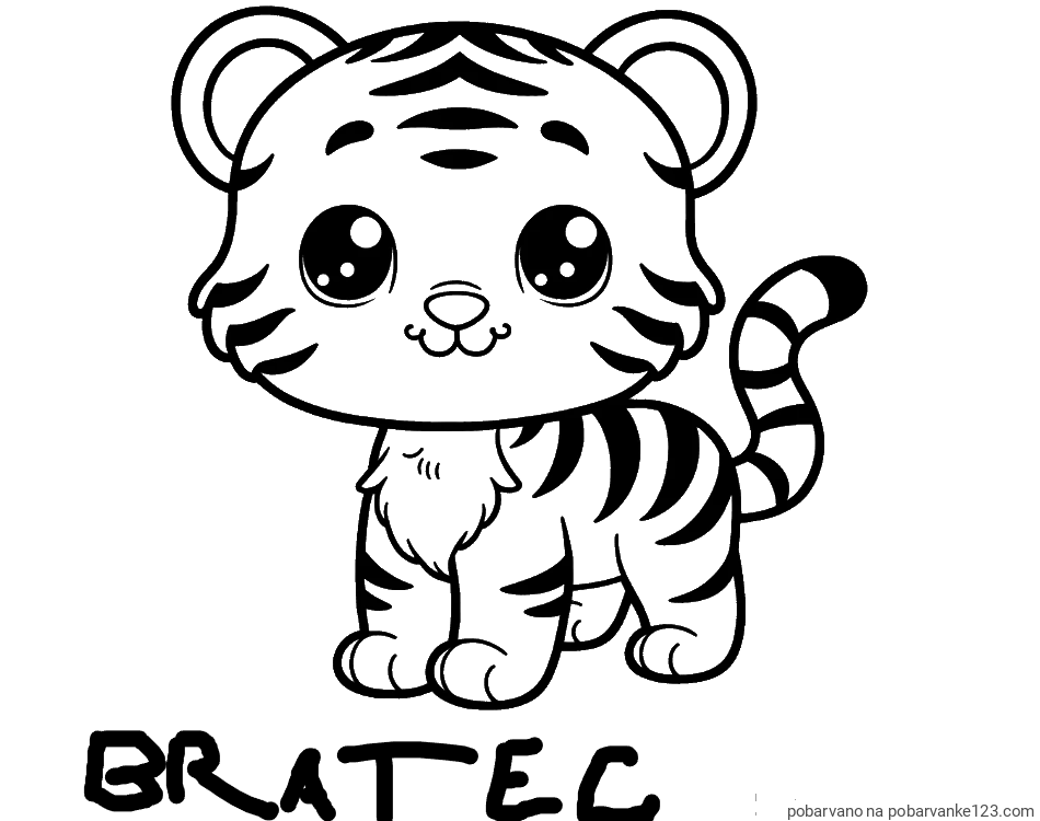 POBARVANA POBARVANKA - Pobarvanka ljubkega tigrčka