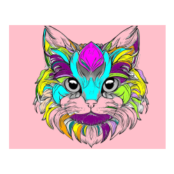 Pobarvana pobarvanka - Pobarvanka mačke