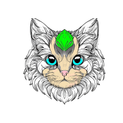 Pobarvana pobarvanka - Pobarvanka mačke