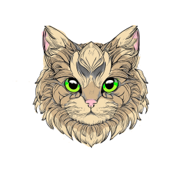 Pobarvana pobarvanka - Pobarvanka mačke