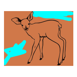 Pobarvana pobarvanka - Pobarvanka mladega jelenčka