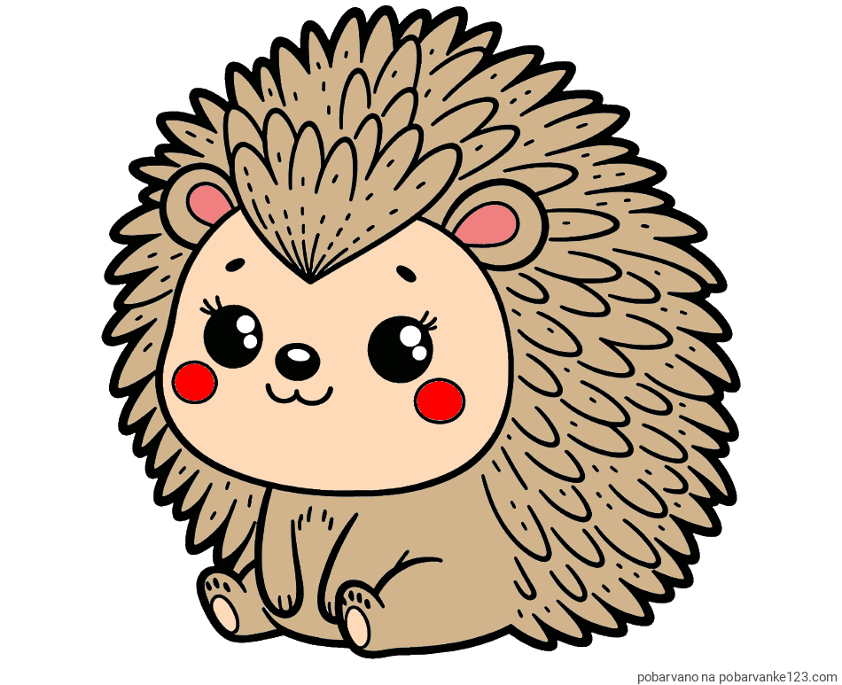 POBARVANA POBARVANKA - Pobarvanka nasmejanega ježka