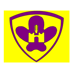 POBARVANA POBARVANKA - Pobarvanka NK Maribor (grb)