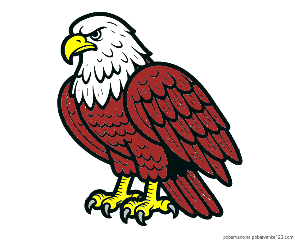 POBARVANA POBARVANKA - Pobarvanka orla