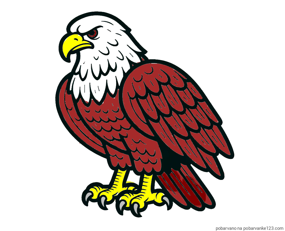 POBARVANA POBARVANKA - Pobarvanka orla