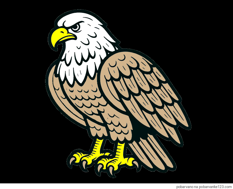 POBARVANA POBARVANKA - Pobarvanka orla
