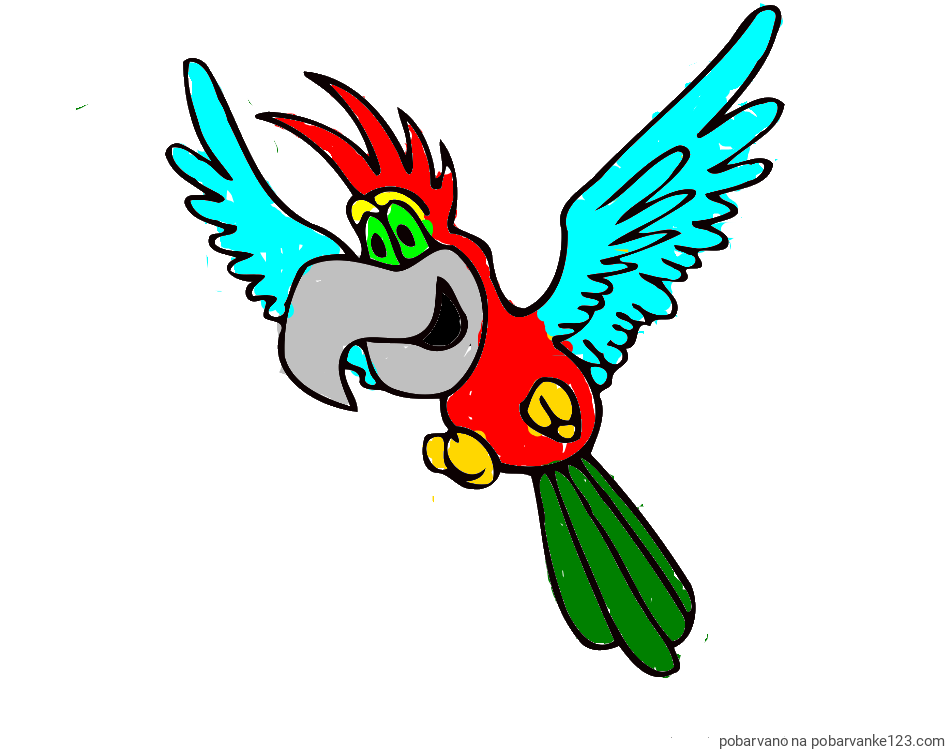 POBARVANA POBARVANKA - Pobarvanka papagaja v letu