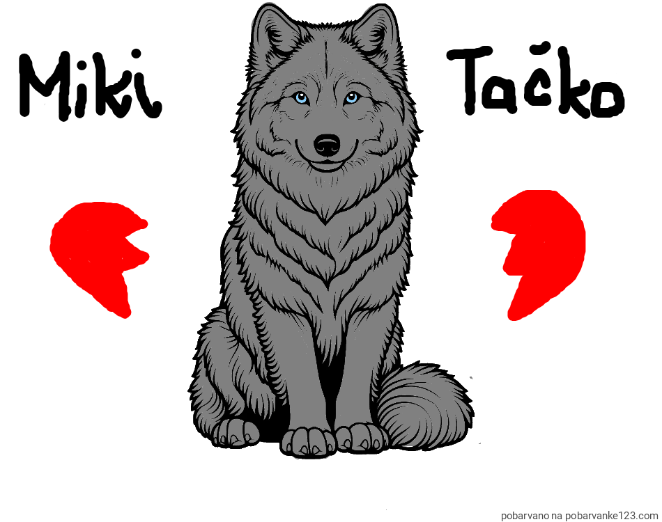 POBARVANA POBARVANKA - Pobarvanka prijaznega volka