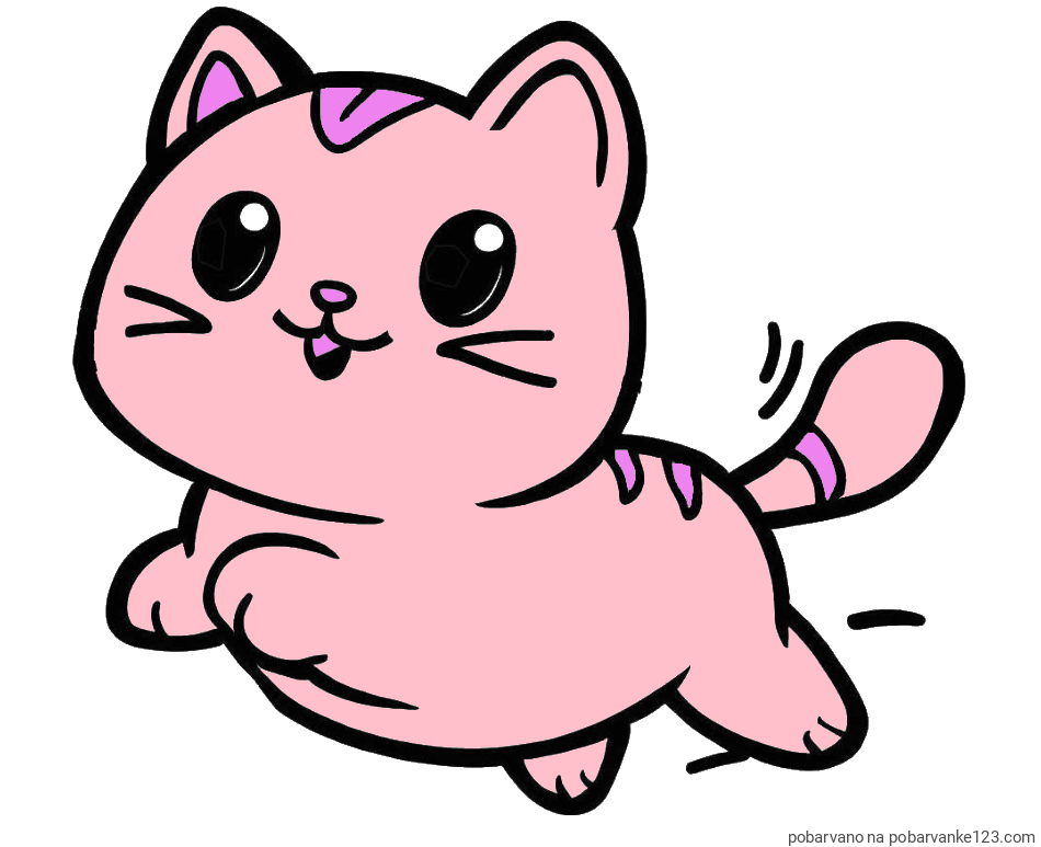 POBARVANA POBARVANKA - Pobarvanka prikupne mačke med tekom