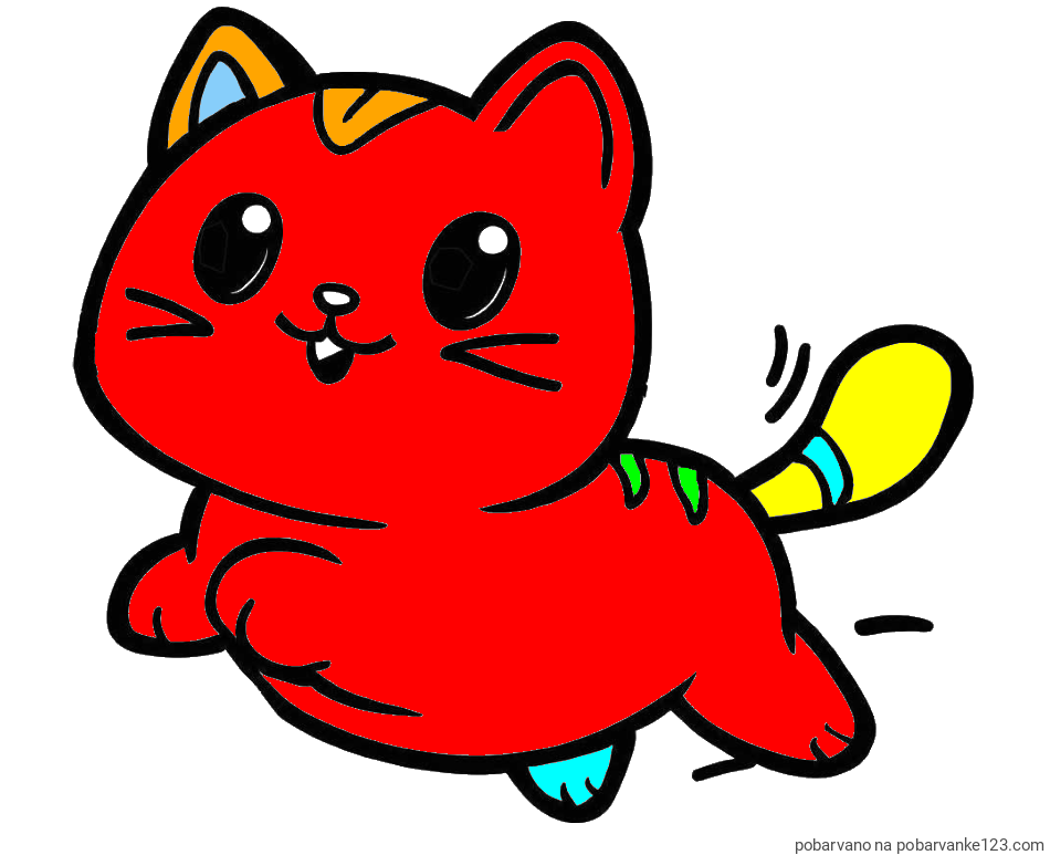 POBARVANA POBARVANKA - Pobarvanka prikupne mačke med tekom