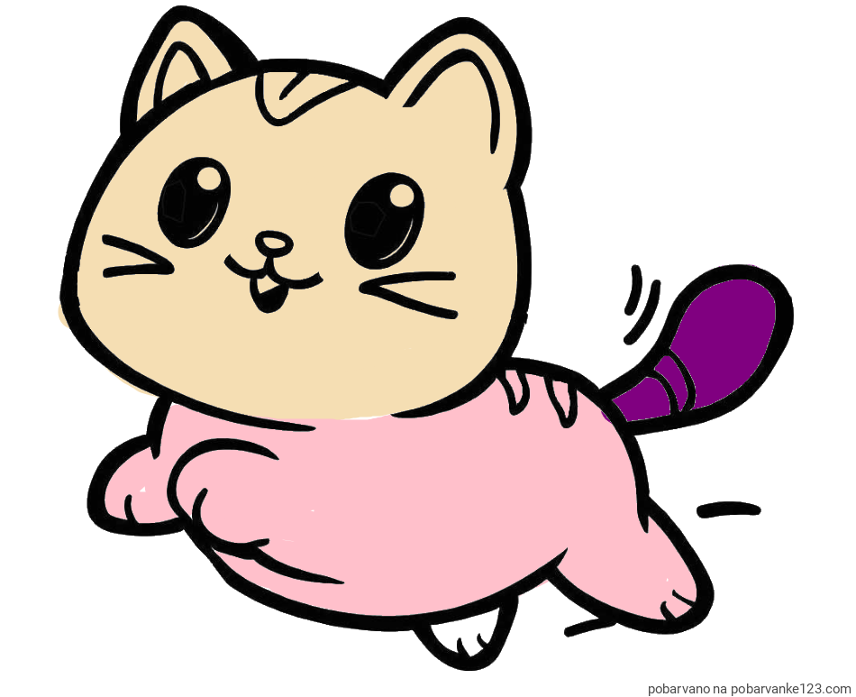 POBARVANA POBARVANKA - Pobarvanka prikupne mačke med tekom