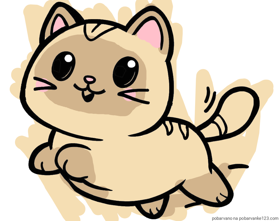 POBARVANA POBARVANKA - Pobarvanka prikupne mačke med tekom