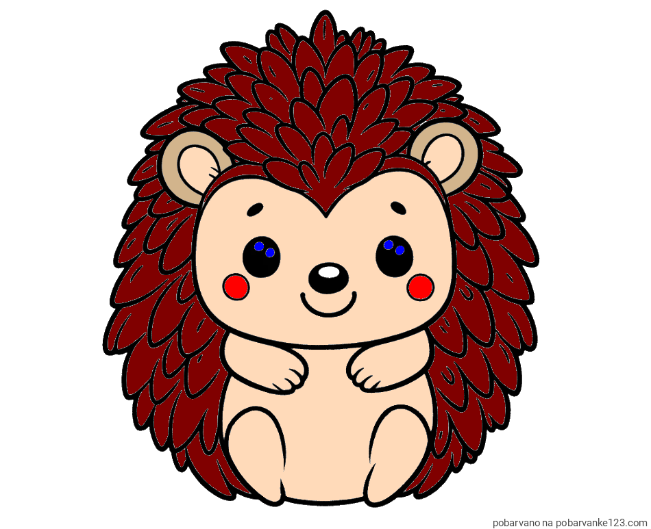 POBARVANA POBARVANKA - Pobarvanka prikupnega ježa