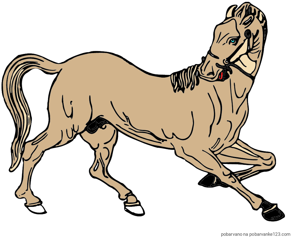 POBARVANA POBARVANKA - Pobarvanka prikupno razigranega konja