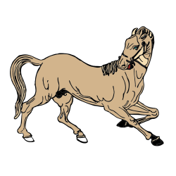 Pobarvana pobarvanka - Pobarvanka prikupno razigranega konja